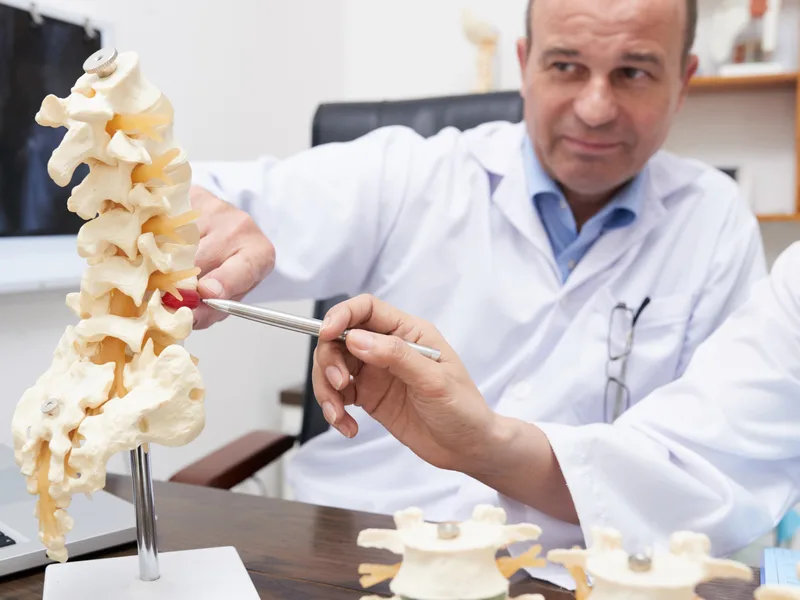 Gonstead Technique at Northern Roots Family Spinal Care in Clear Lake