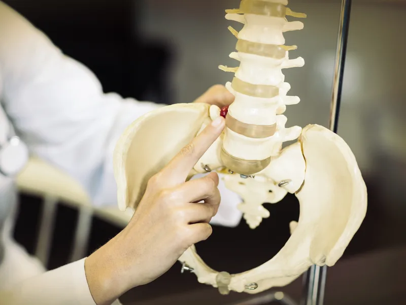 Gonstead Technique at Northern Roots Family Spinal Care in Clear Lake